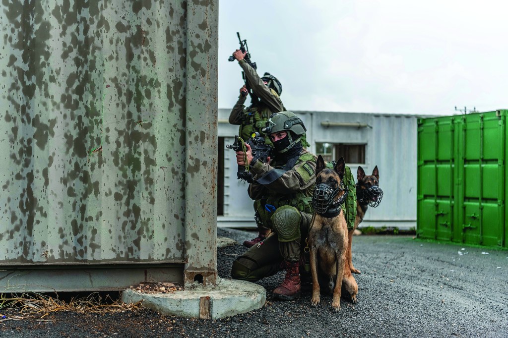 La evolución técnica en la utilización de los perros en las unidades&nbsp;militares